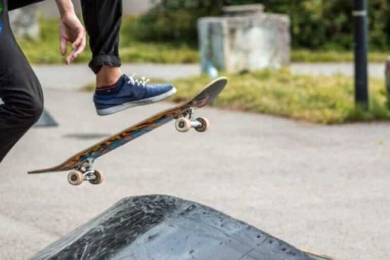 Skateboard Frog with a 40oz Birdhouse: A Fusion of Fun and Functionality